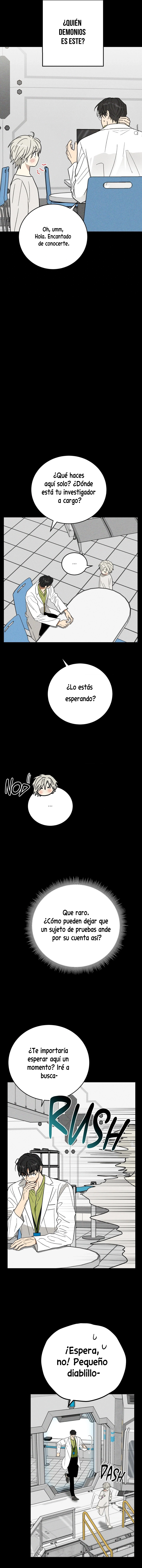 assets image