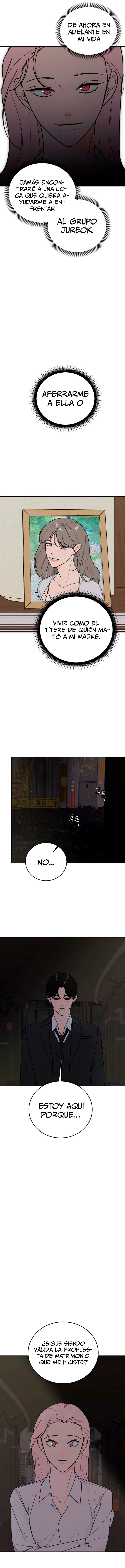 assets image