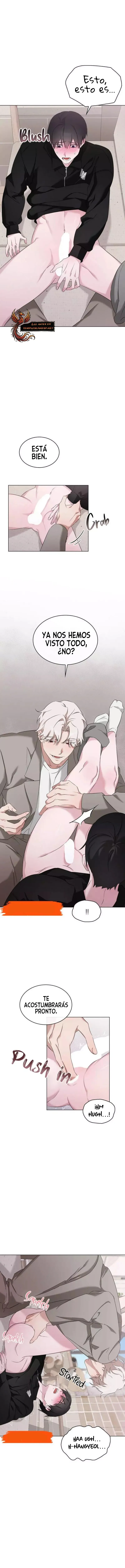 assets image