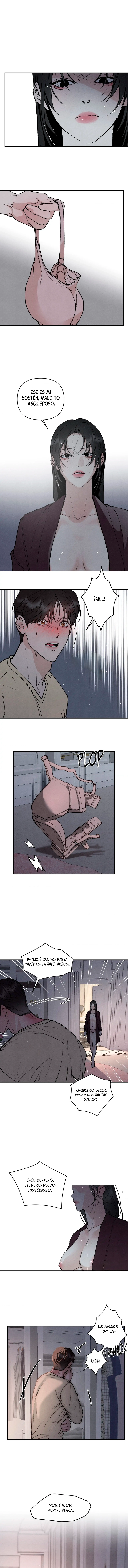 assets image