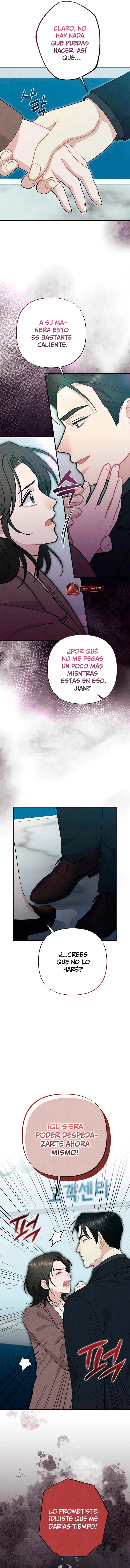 assets image