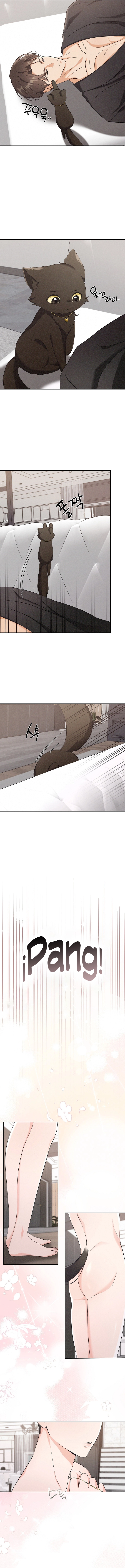 assets image