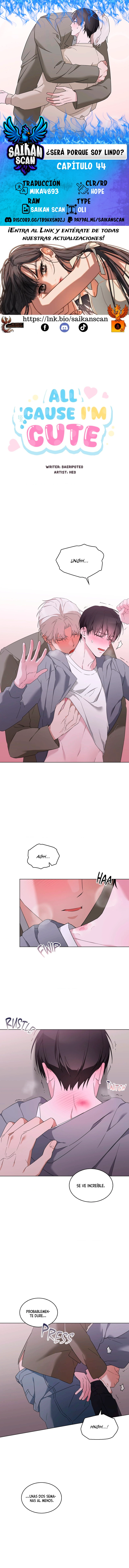 assets image