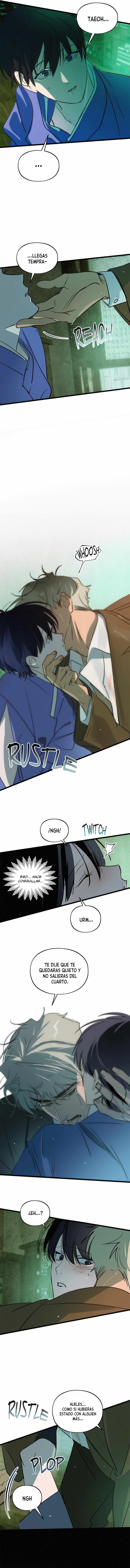 assets image