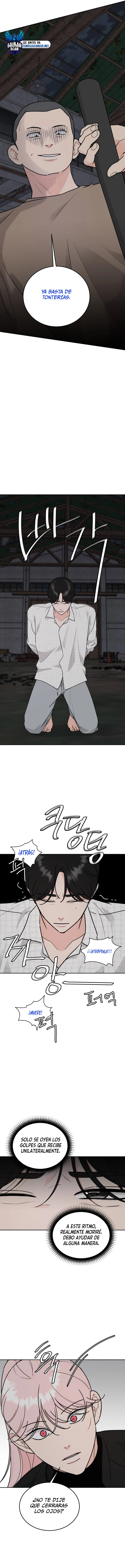 assets image