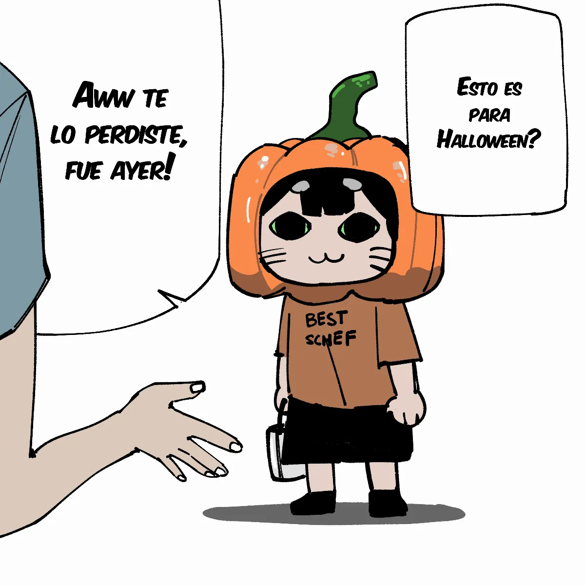 assets image