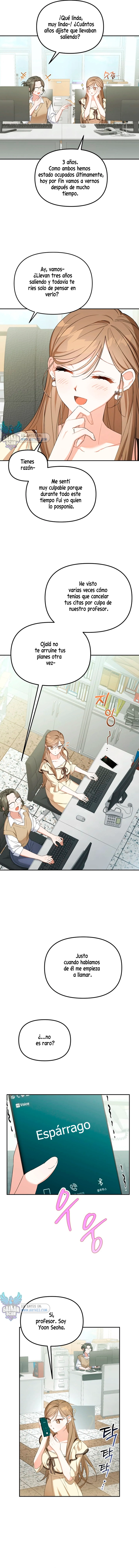 assets image