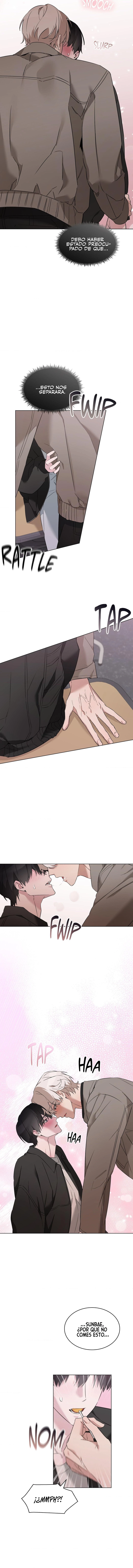 assets image