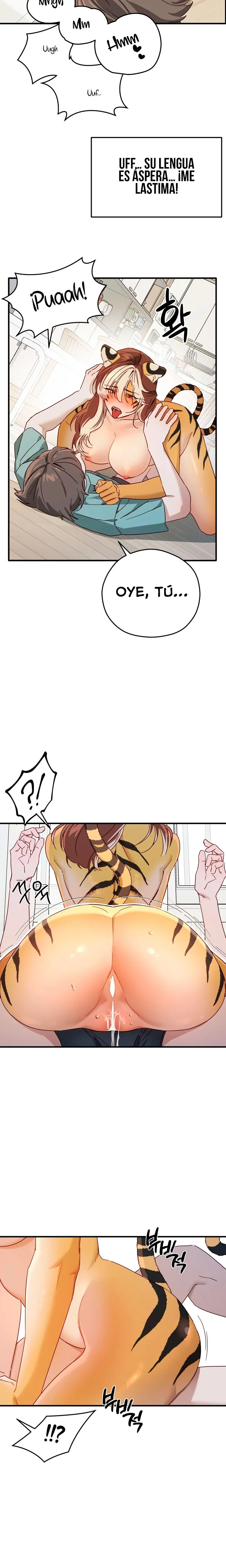 assets image
