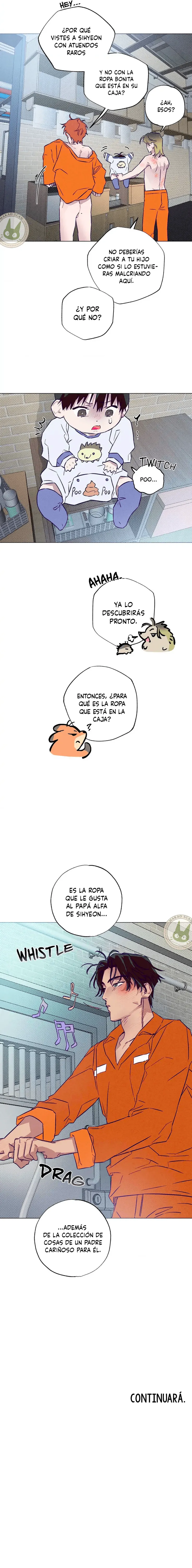 assets image