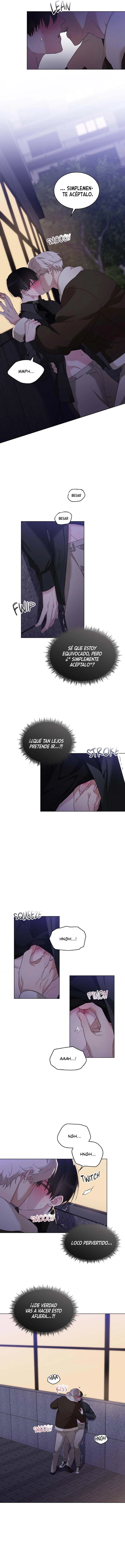 assets image