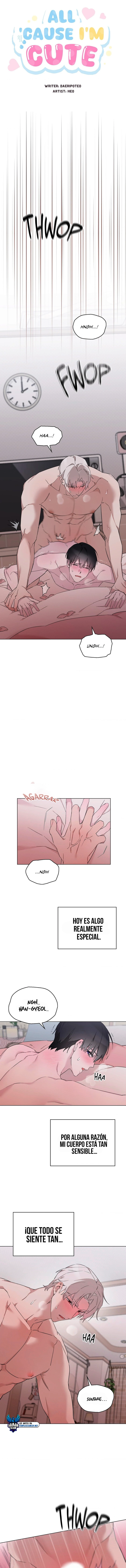assets image