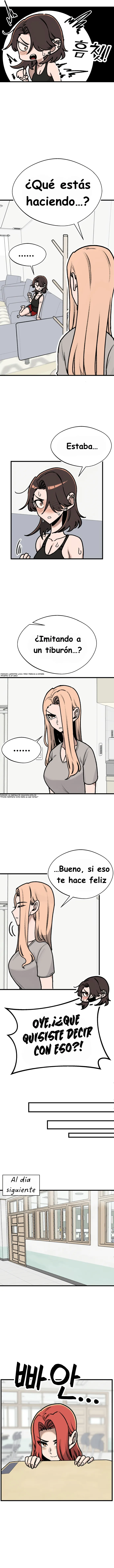 assets image