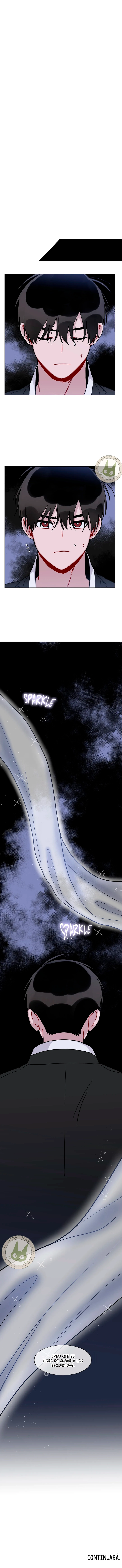 assets image
