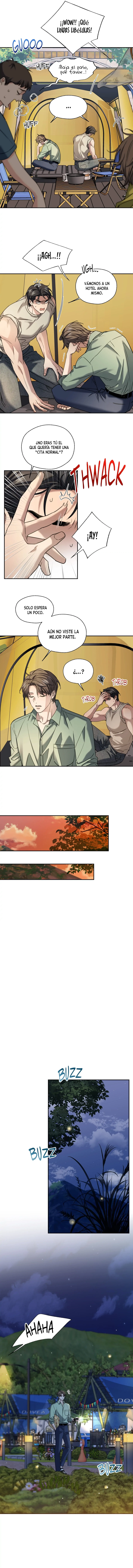 assets image