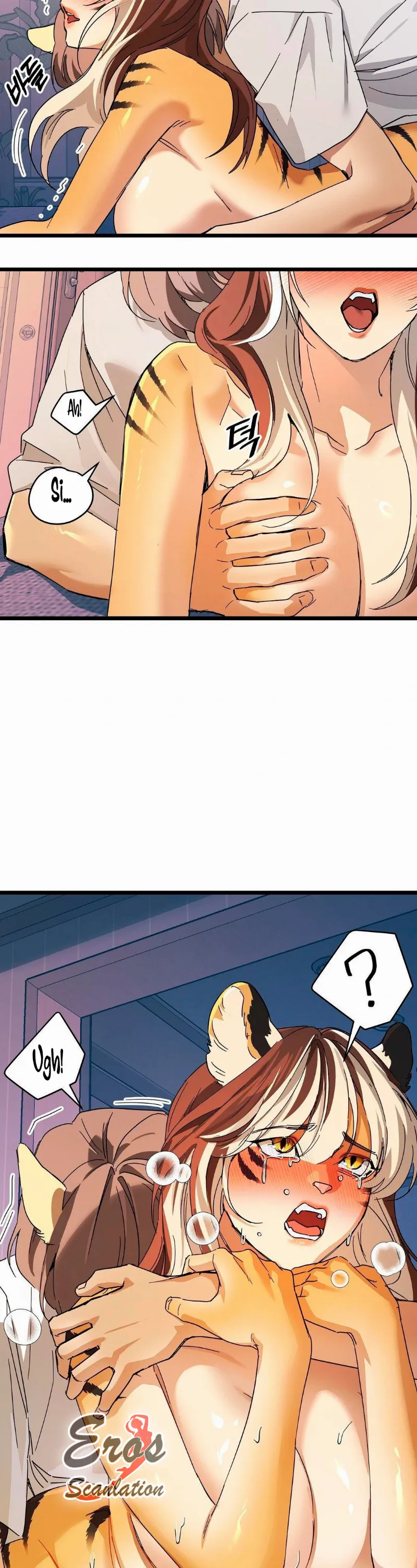 assets image