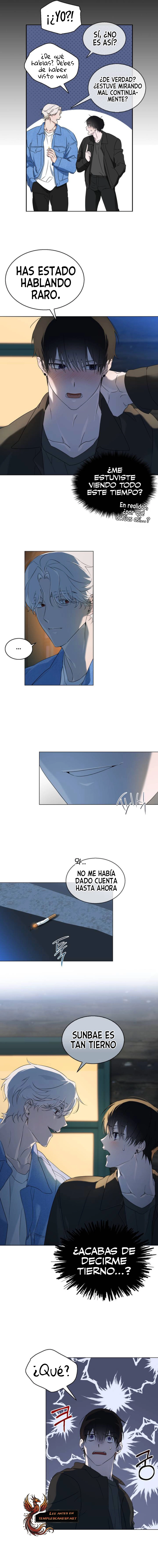 assets image