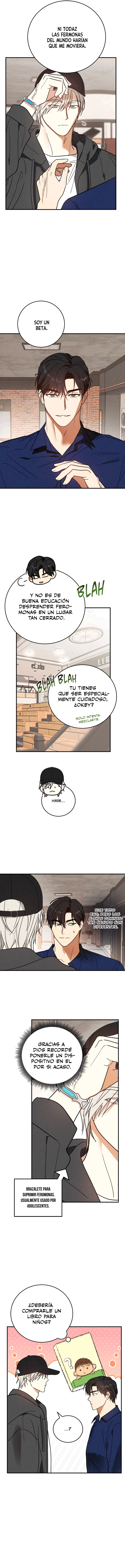 assets image