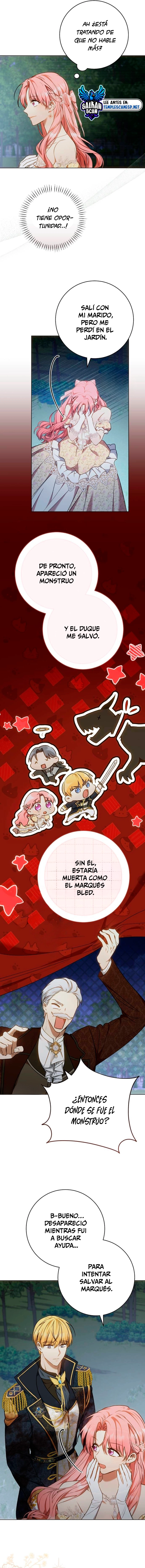 assets image
