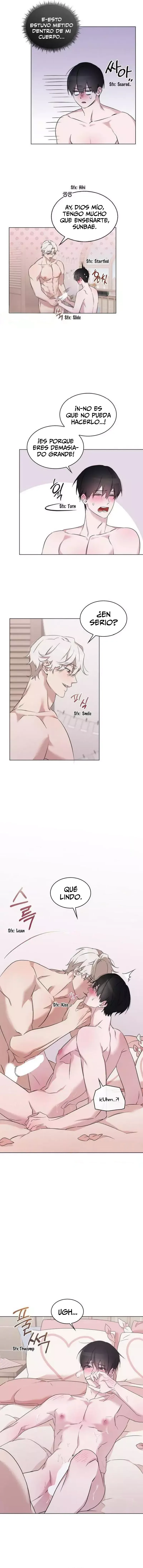 assets image