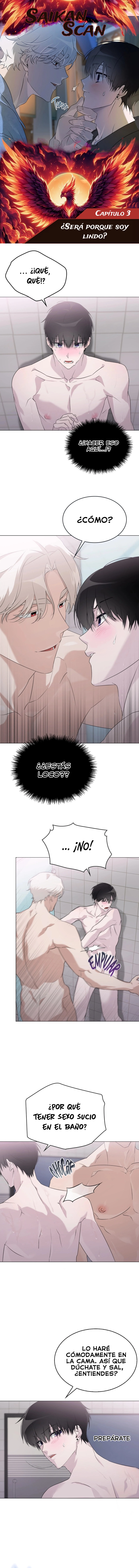 assets image
