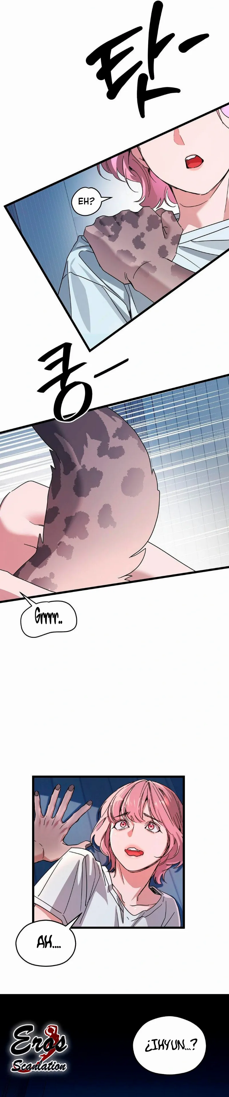 assets image