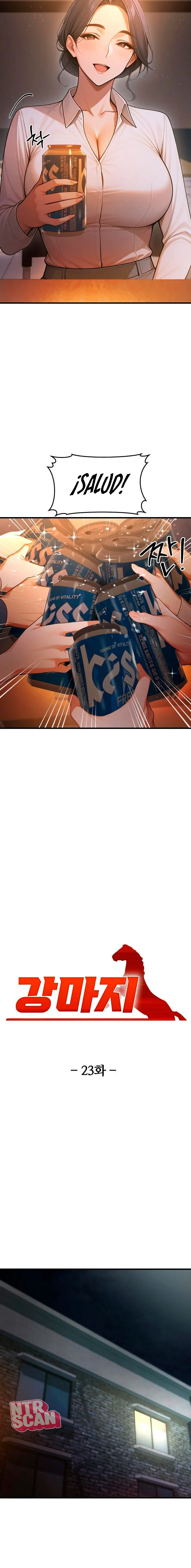 assets image