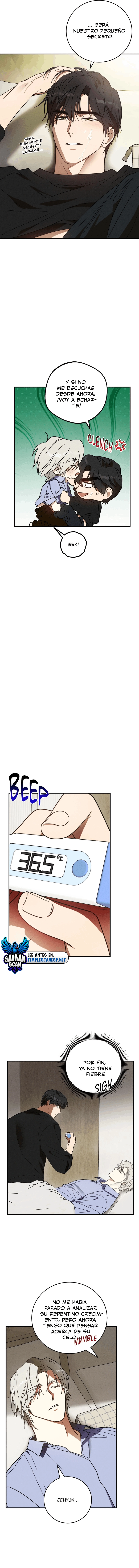 assets image