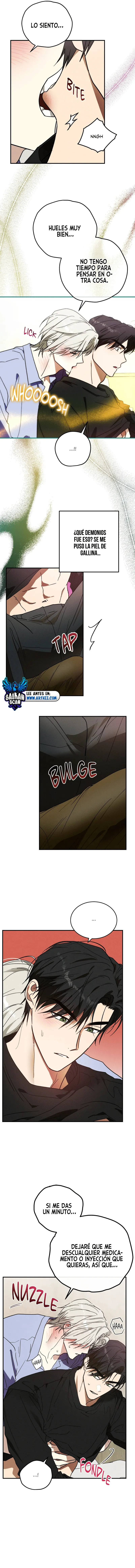 assets image