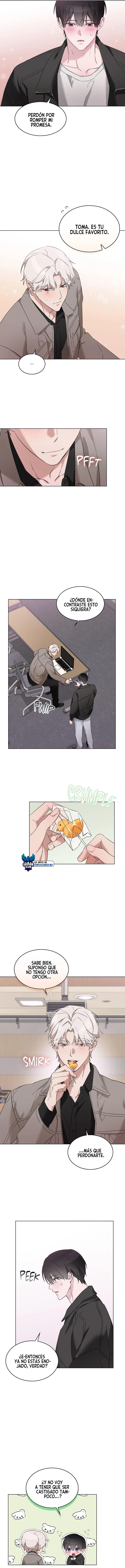 assets image