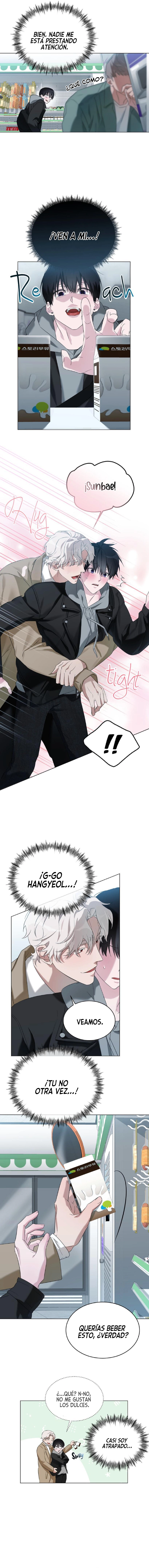 assets image
