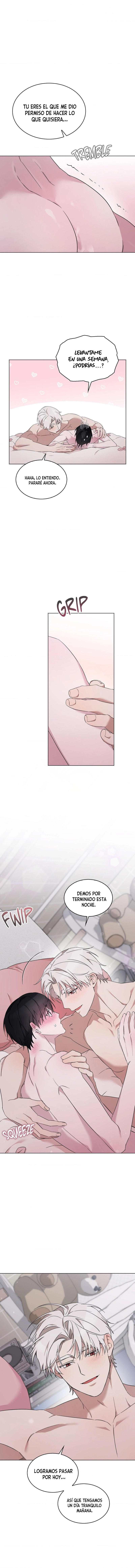 assets image