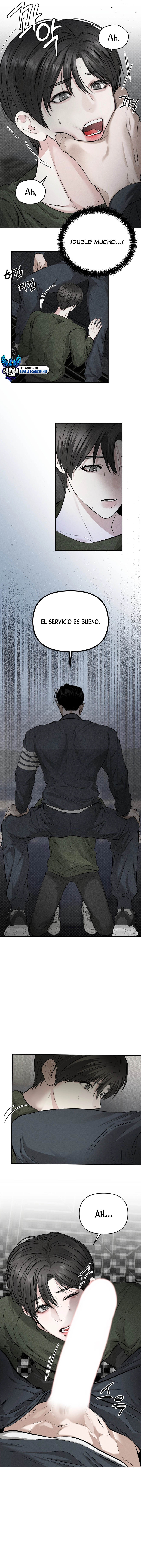 assets image