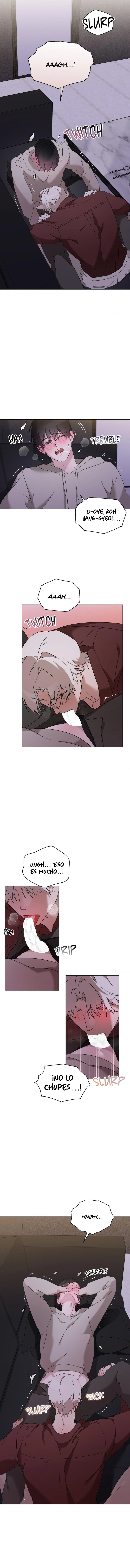 assets image