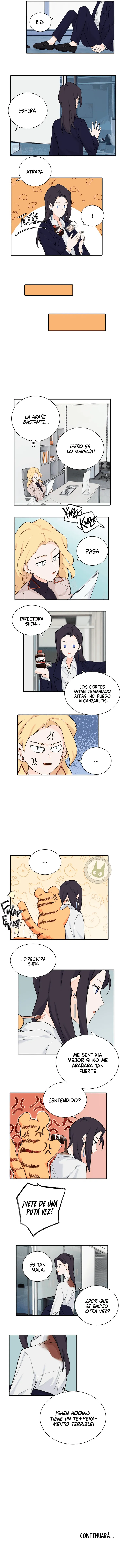 assets image