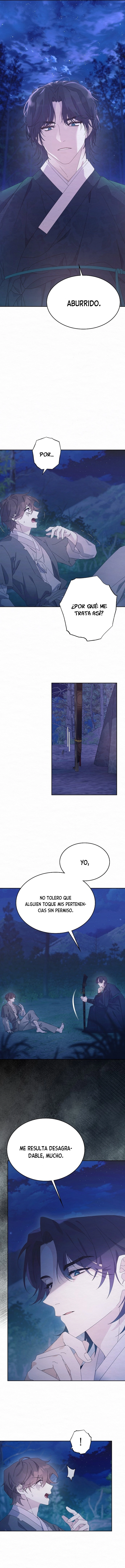 assets image
