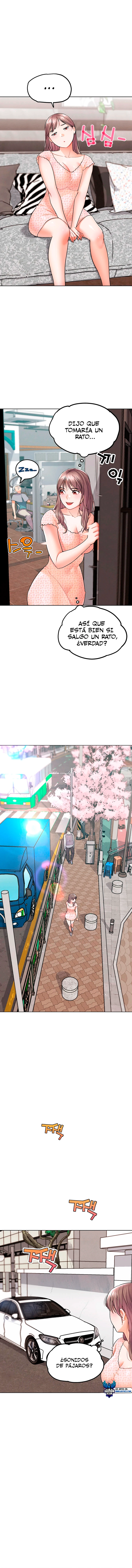 assets image