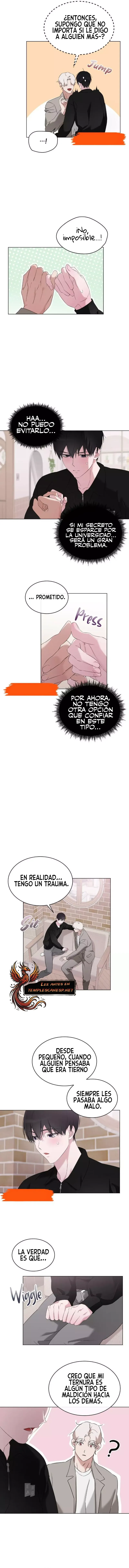 assets image
