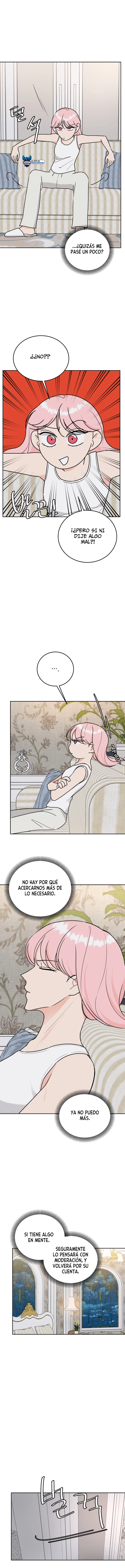 assets image