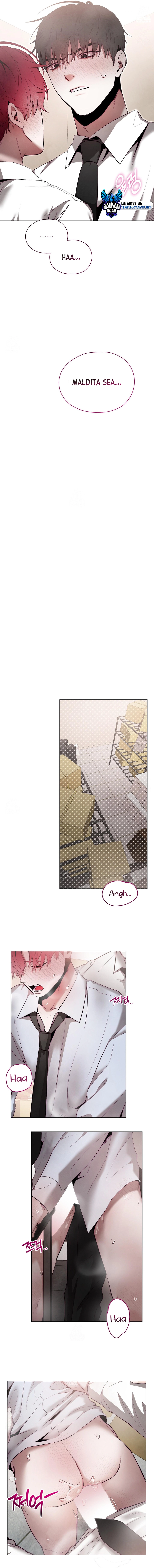 assets image