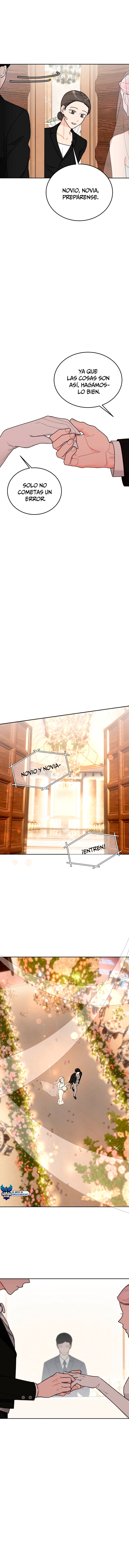 assets image