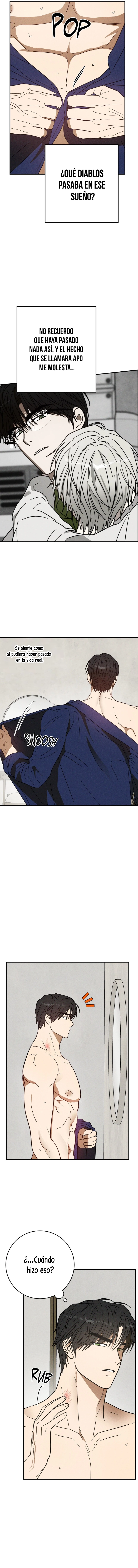 assets image