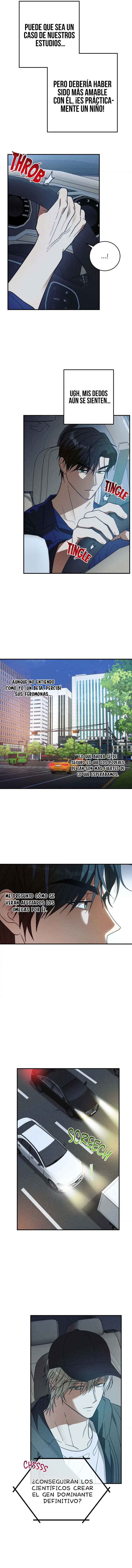 assets image