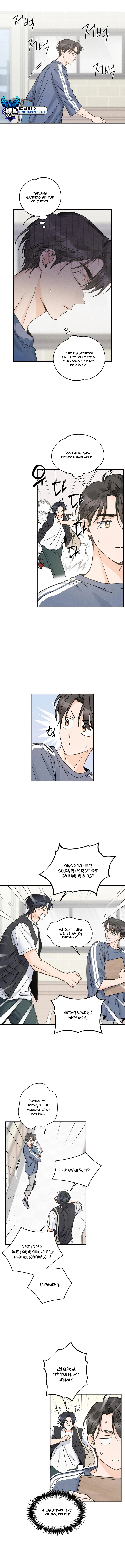 assets image