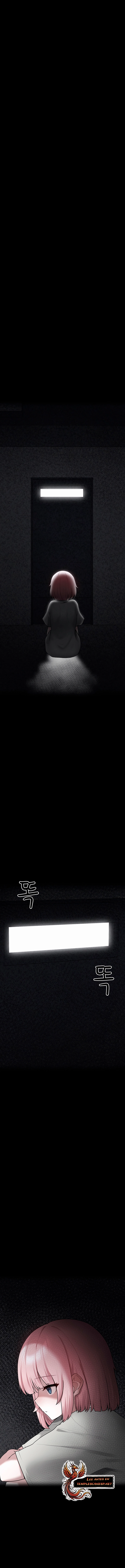 assets image
