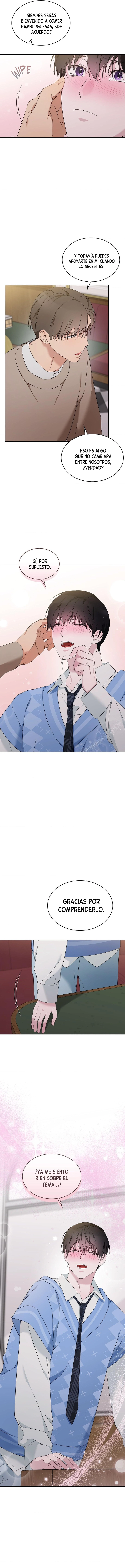 assets image