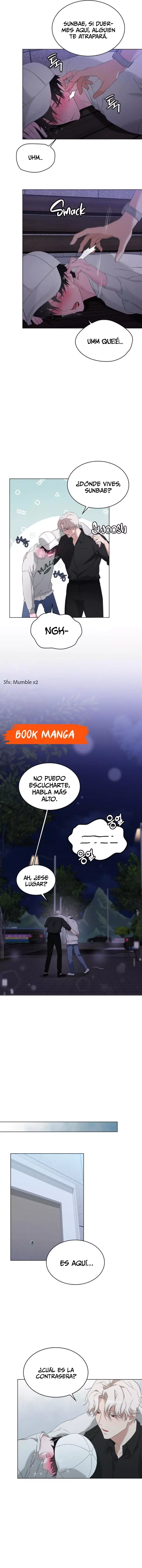 assets image