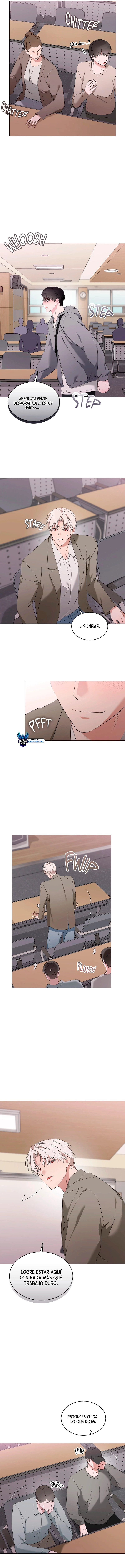 assets image
