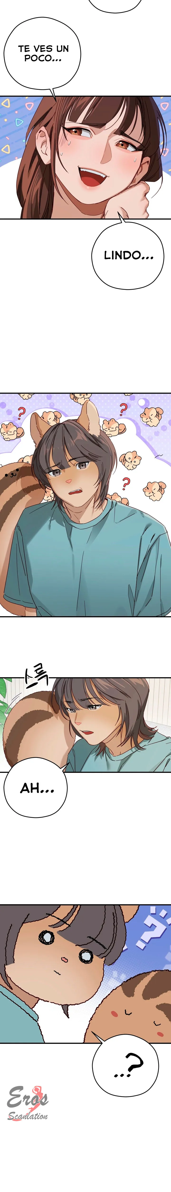 assets image