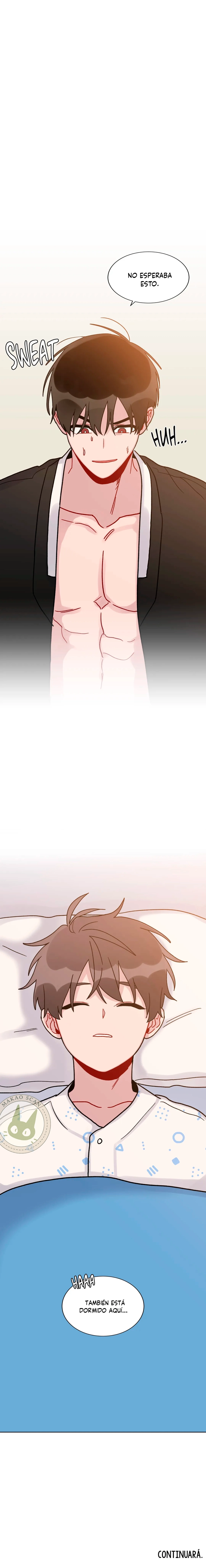 assets image